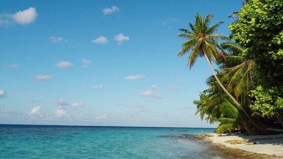 马尔代夫的天堂海滩
