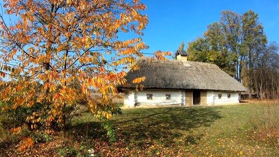 金色的秋天在乌克兰的一个村庄
