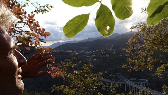 日出时分一名男性徒步旅行者越过树叶眺望山谷和高山
