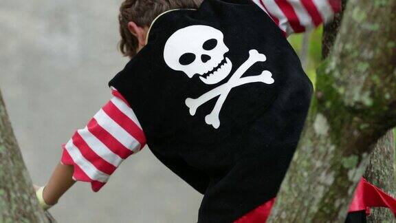 一个穿着海盗制服的孩子从树上下来花了4千块