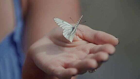 那个女人手里拿着一只蝴蝶