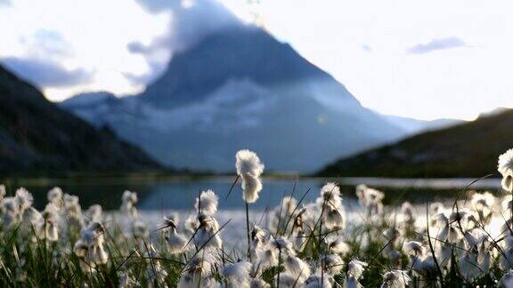 与瑞士马特洪山的美景在湖边相遇