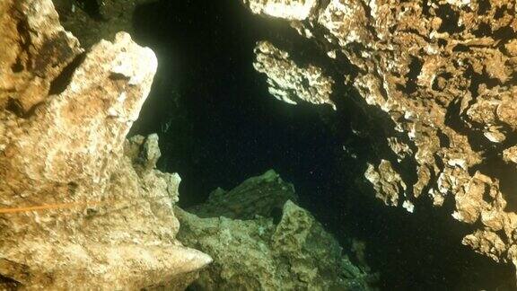 在墨西哥尤卡坦的洞穴水下潜水