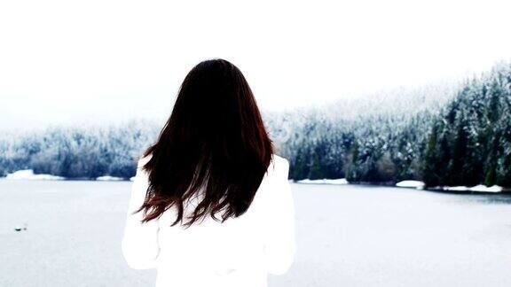 后视图的女人站在雪覆盖的景观