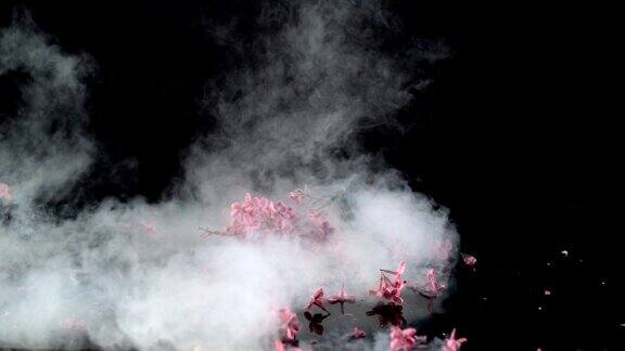 丁香花上满是蒸汽