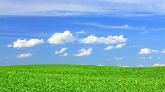 景观绿色的田野和蓝色的天空