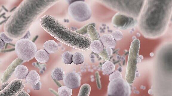 在3D动画中健康的微生物群变成不健康的微生物群