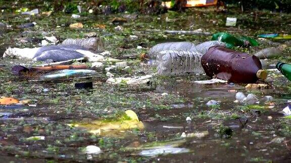 А海面上的死鸟、垃圾和瓶子表明了海洋污染