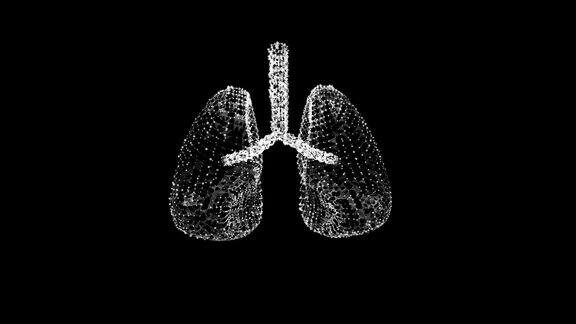 人肺有气管、支气管等内脏器官肺医学科学技术概念线框低多边形网格