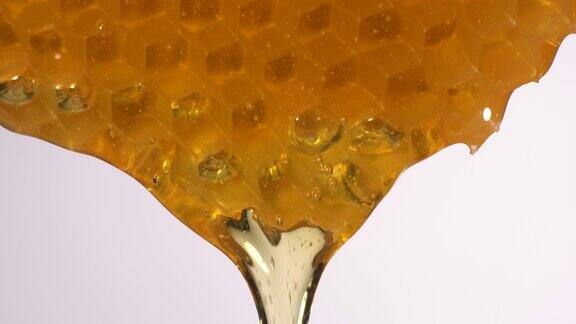 (实时)蜂蜜从蜂巢流出
