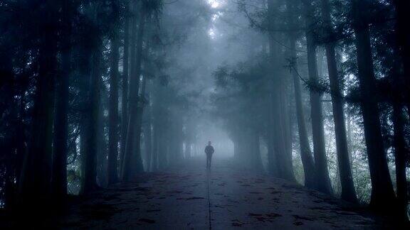 一个人走在雾蒙蒙的路上