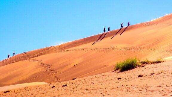 纳米比亚沙丘上的WS游客