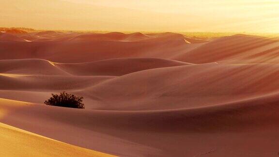 死亡谷沙漠日出延时