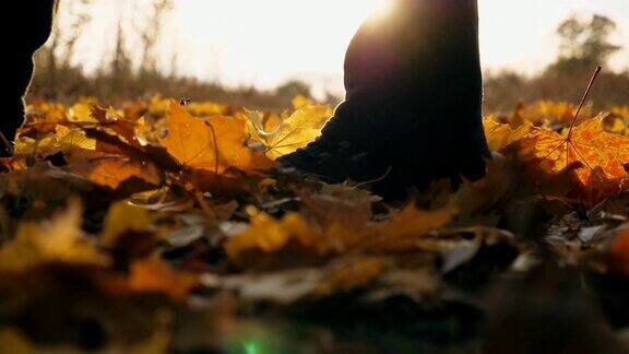 男性脚踩在彩色落叶上的细节视图人走在黄色的树叶上那家伙把鲜艳的树叶踢了起来明亮的太阳照亮了秋天的树叶男腿的台阶侧视图慢镜头