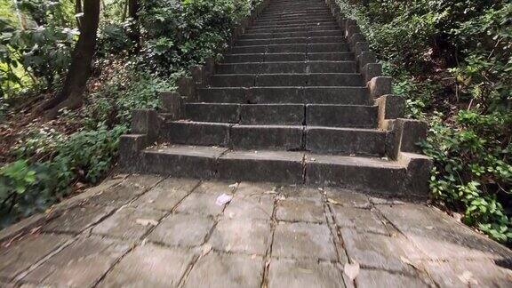 热带雨林公园混凝土小路和楼梯