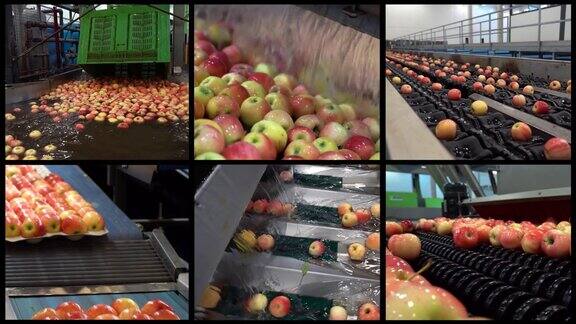 苹果接收和加工在大型水果包装工厂的设施然后分销到市场-多屏幕视频