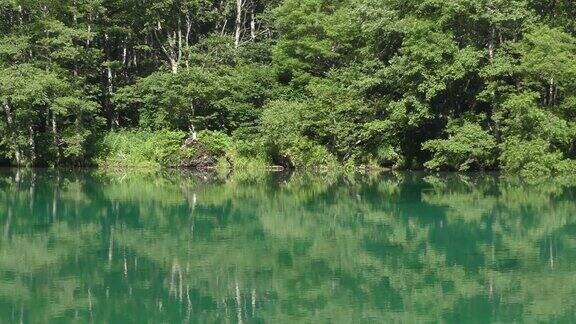 日本长野松本上高知大生池塘