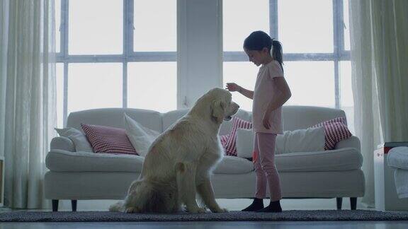 小女孩在客厅里玩抱着她的狗的慢动作