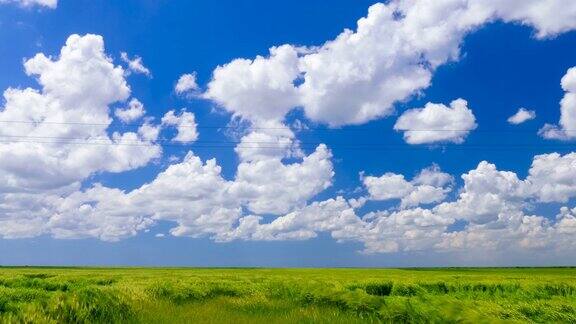 绿色的麦田蓝天和白云