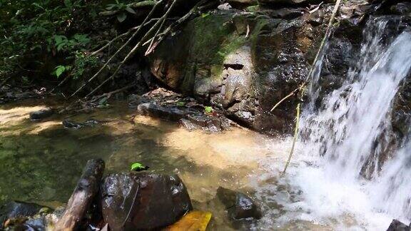 哥斯达黎加丛林中的小溪、河流和瀑布