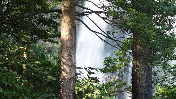 热带雨林中的大瀑布洞朗兰大瀑布