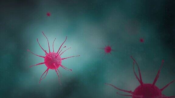 4k病毒细胞结构病毒传播概念