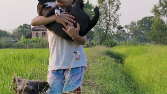 小女孩抱着可爱的小狗在绿草地上