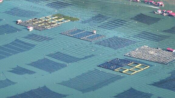 4K航拍海洋农场水上养殖网箱俯瞰