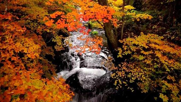 宁静的水流从龙津瀑布在秋天日光日本
