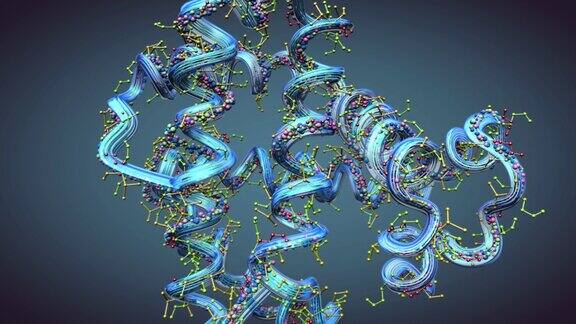 氨基酸链或称为蛋白质的生物分子-3d插图