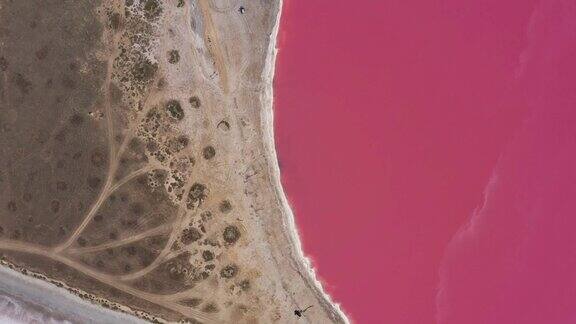 飞过粉色的盐湖盐田盐湖生产设施为盐渍蒸发池盐杜氏藻使矿物湖中的水呈红色、粉红色沿岸呈干结晶状
