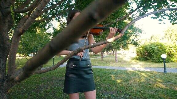 日落时分一个年轻女子站在公园的草地上拉小提琴