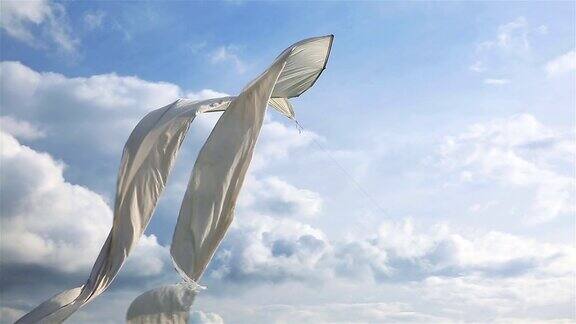 雪白的风筝在阳光的照耀下在天空中飞翔