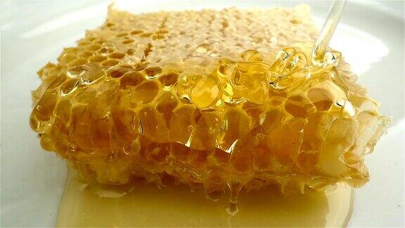 蜂蜜从蜜勺滴在蜂巢上粘稠的有机蜂蜜从蜂蜜匙中浸泡