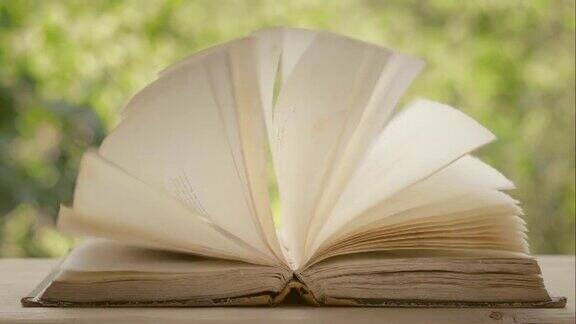 打开那本古书在一阵阵狂风中翻动书页把绿色的树叶吹散