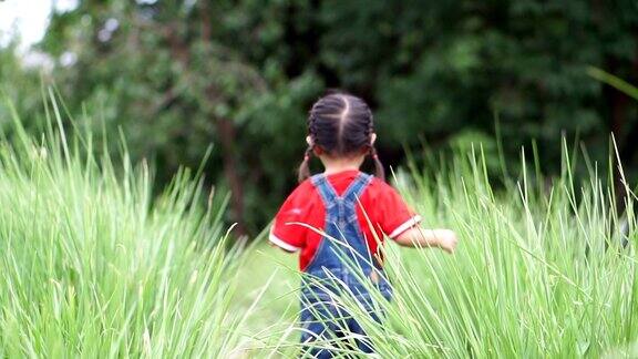 这个小女孩正在草地上散步