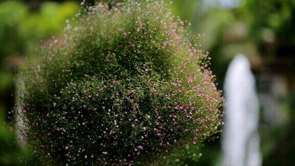 挂花篮