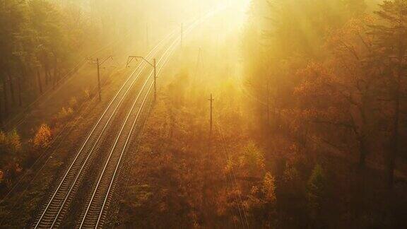 黎明时分一架无人机缓慢地飞过一条雾蒙蒙的铁路穿过秋天的森林