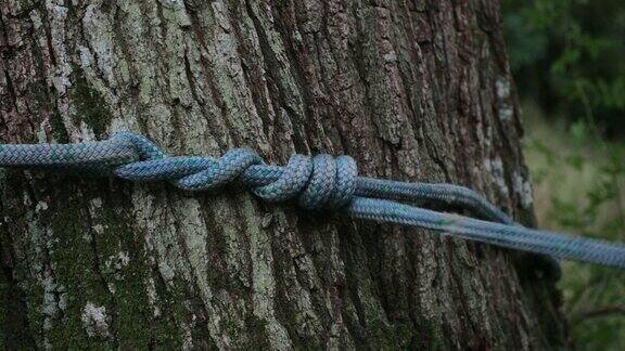 爬树用的绳子