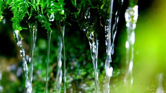 特写水从青苔中流出