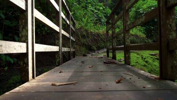古老的木桥横跨山间的河流在丛林中