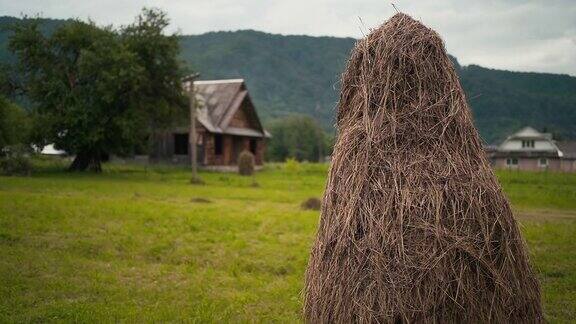 村庄的房子一捆捆的干草