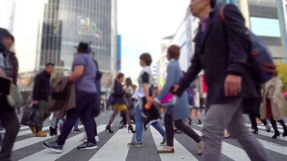 东京日本的涩谷十字路口