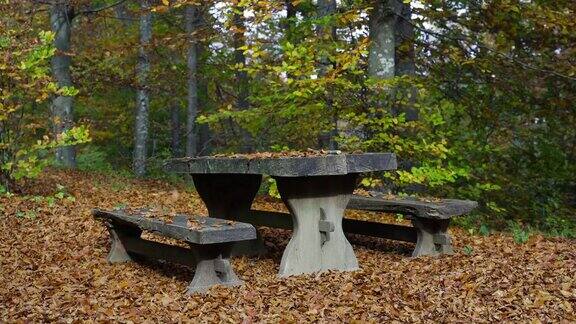 秋天森林里的空桌子和长凳