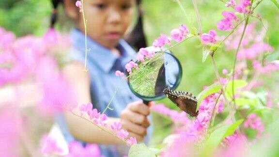 一个女孩用放大镜看树枝上的蝴蝶