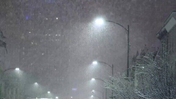 城市路灯下的雪