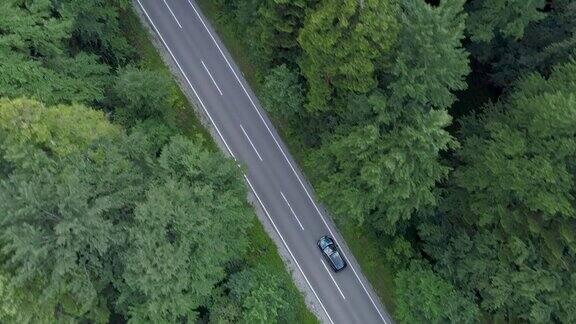 飞过一辆黑色的汽车行驶在空旷的道路上穿过森林
