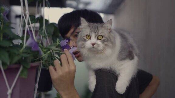 男子向他的宠物猫展示鲜花