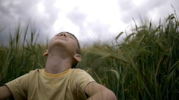 快乐的男孩坐在麦田里看着下雨的美丽天空