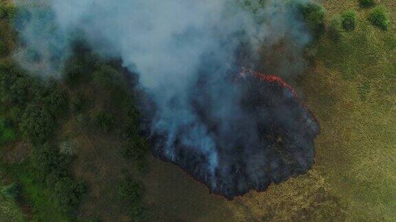 森林大火草燃烧空中无人机拍摄的